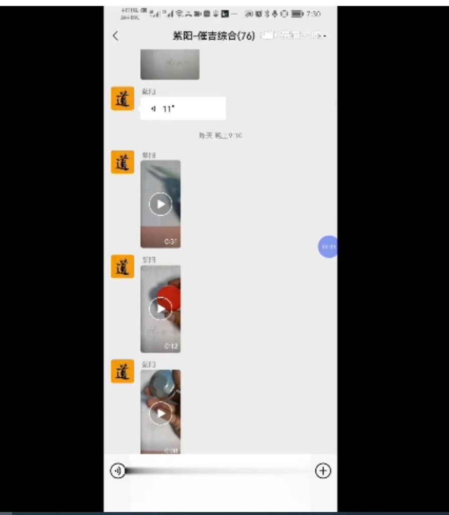 紫阳道家催吉消灾灯供综合课视频加图片电子版