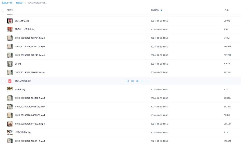 小凤仙9天密训九天玄术秘术视频加文档
